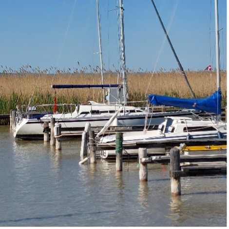 Neusiedler See - Boote